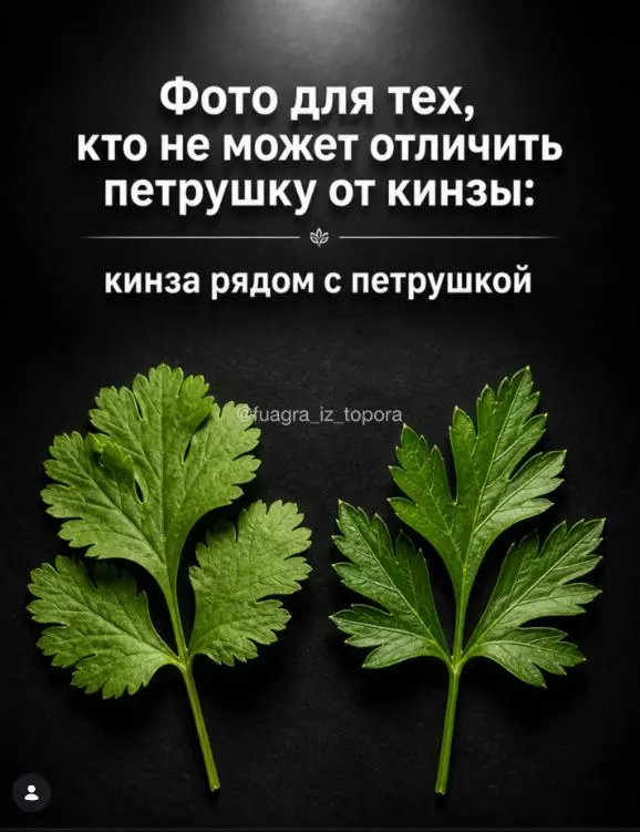 Посмеялся сам - поделись с другом!!!