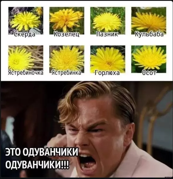 Посмеялся сам - поделись с другом!!!