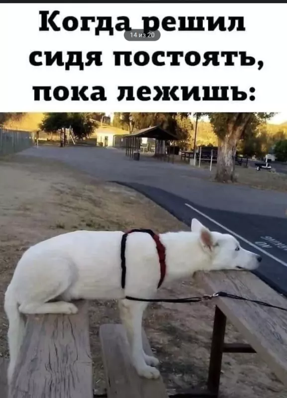 Посмеялся сам - поделись с другом!!!