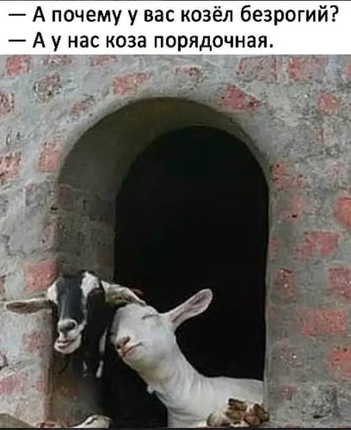 Посмеялся сам - поделись с другом!!!