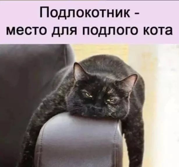 Посмеялся сам - поделись с другом!!!