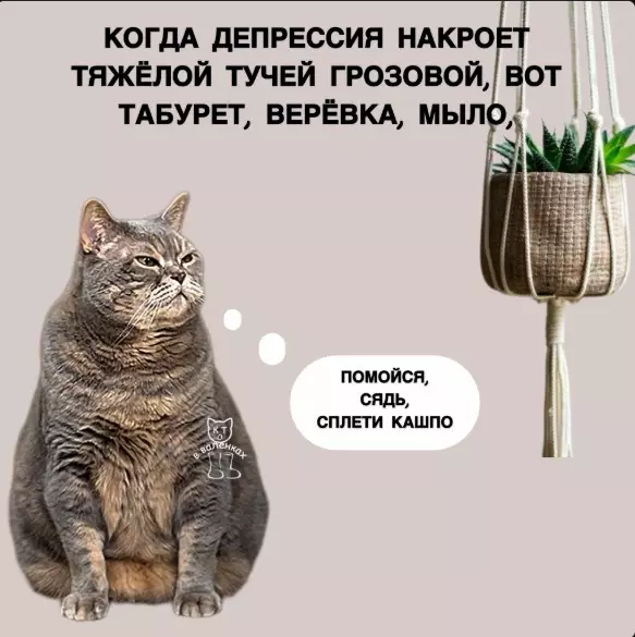 Посмеялся сам - поделись с другом!!!