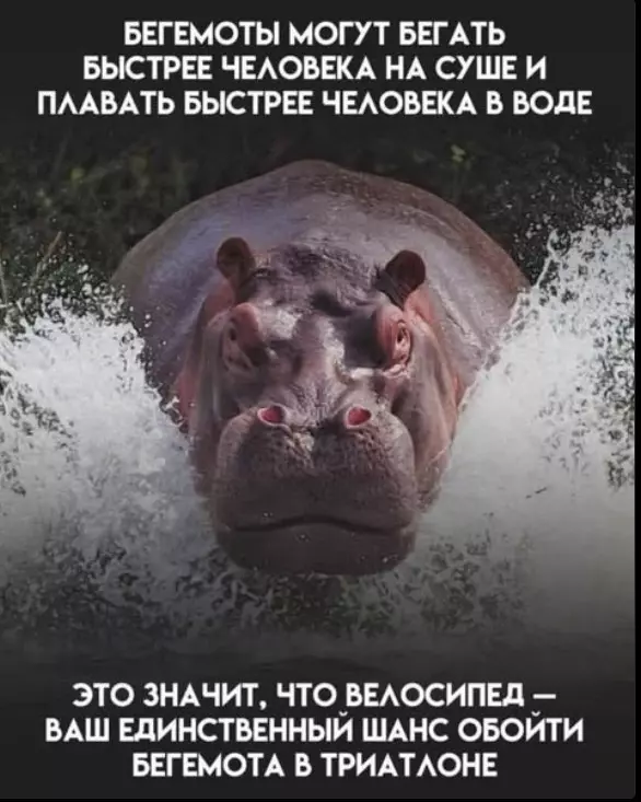 Посмеялся сам - поделись с другом!!!