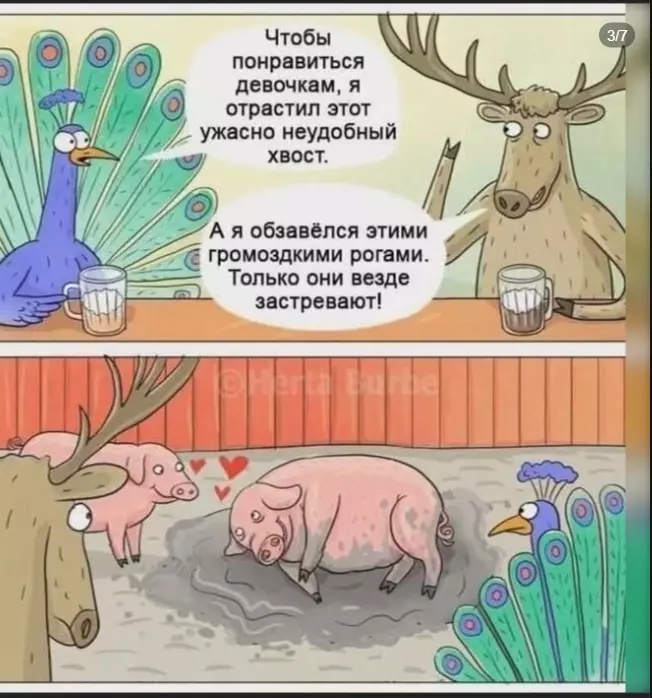 Посмеялся сам - поделись с другом!!!