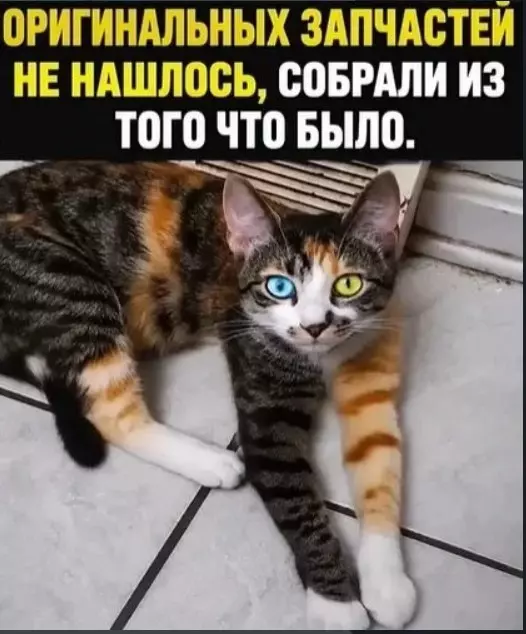 Посмеялся сам - поделись с другом!!!