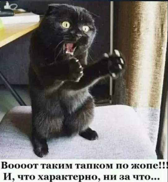 Посмеялся сам - поделись с другом!!!