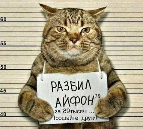 Посмеялся сам - поделись с другом!!!