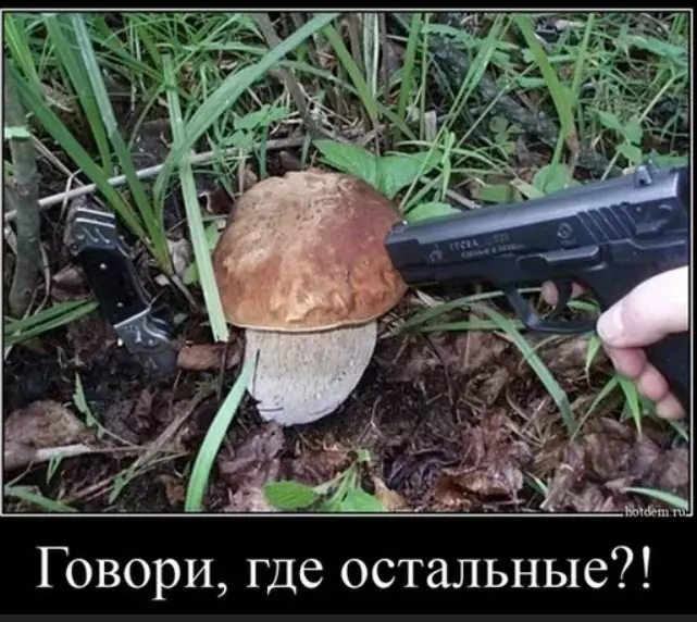 По грибы с лукошком