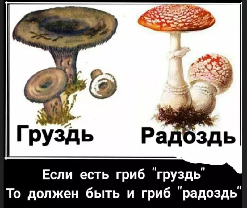 По грибы с лукошком
