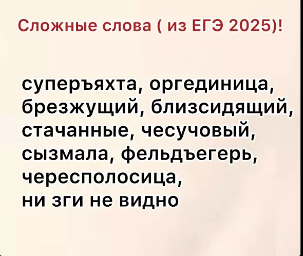 Русский язык
