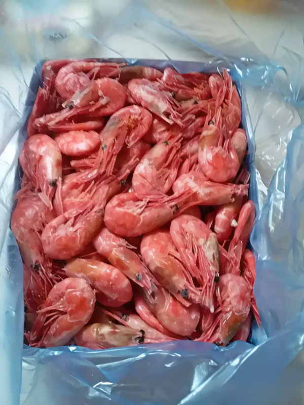 Что Вы сейчас едите? Фотоблог с вашего стола