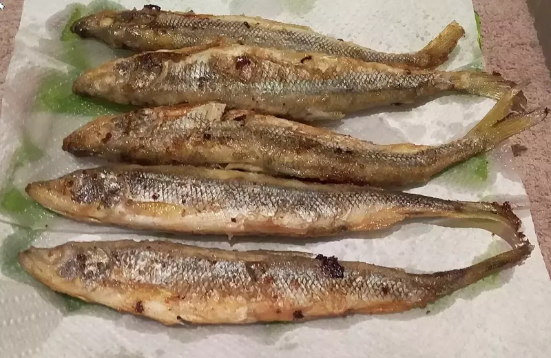 Что Вы сейчас едите? Фотоблог с вашего стола