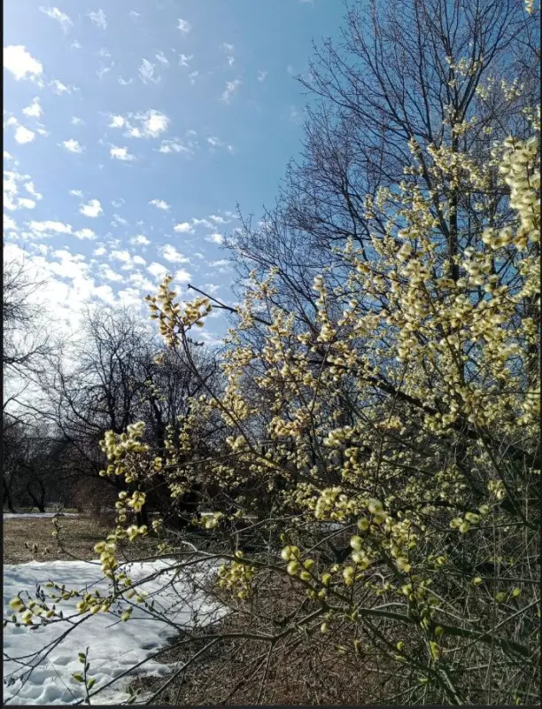 Такое разное небо