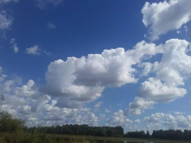 Такое разное небо