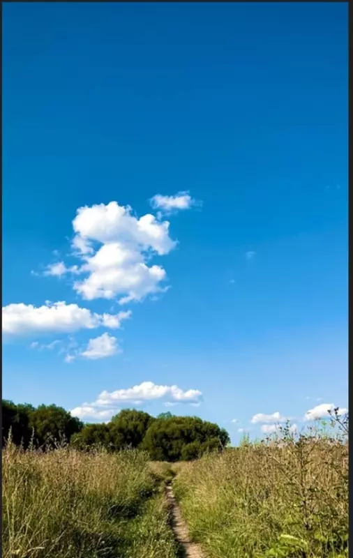 Такое разное небо