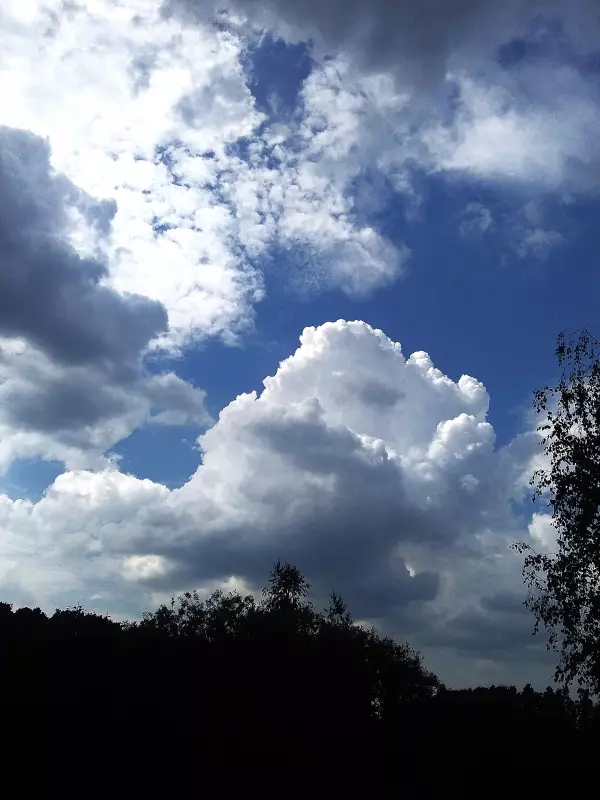 Такое разное небо