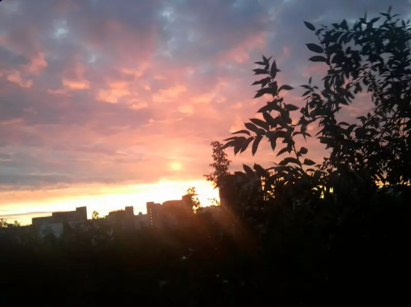 Такое разное небо