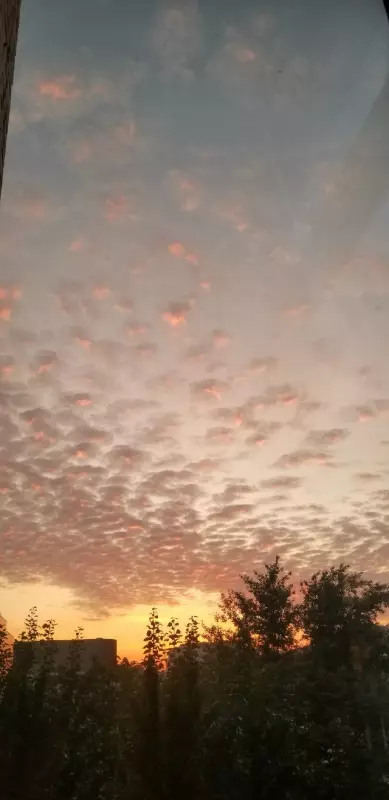 Такое разное небо