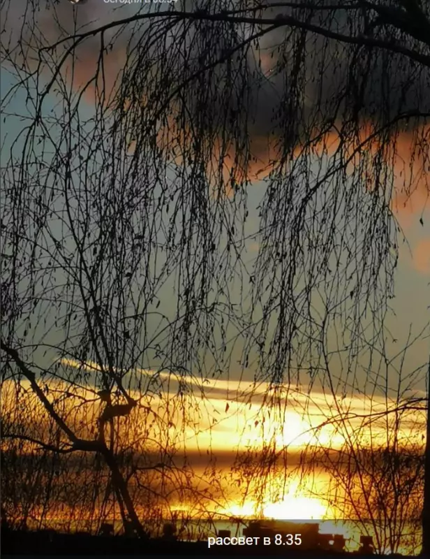 Такое разное небо