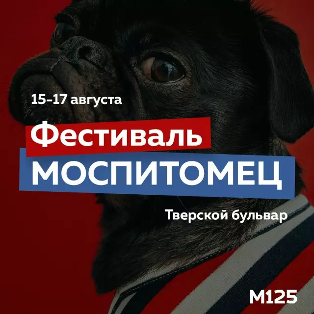 Что в Москве слышно?