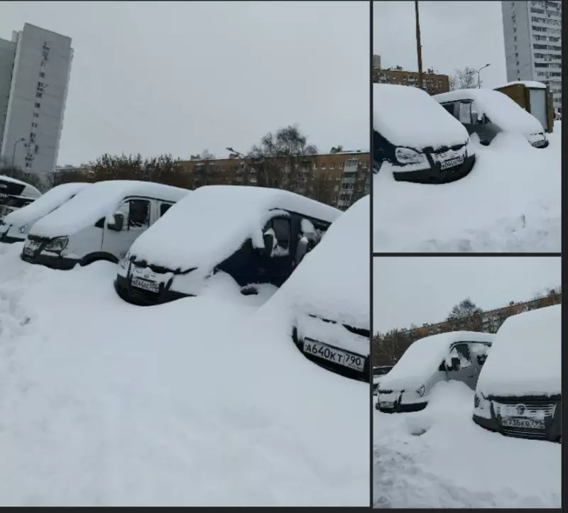 Что в Москве слышно? 