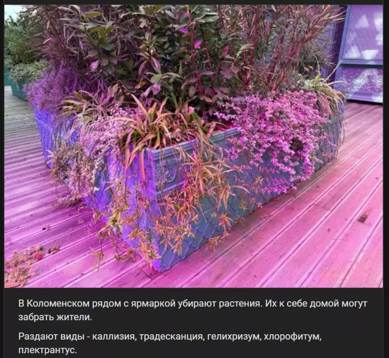 Что в Москве слышно?