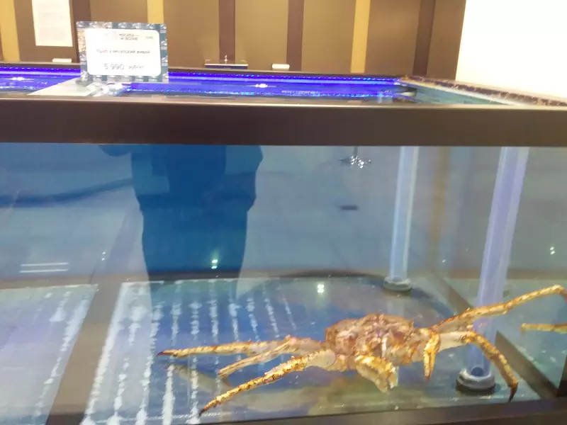 Где, что и когда купить в Москве