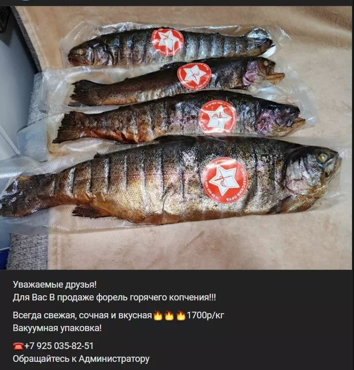 Где, что и когда купить в Москве