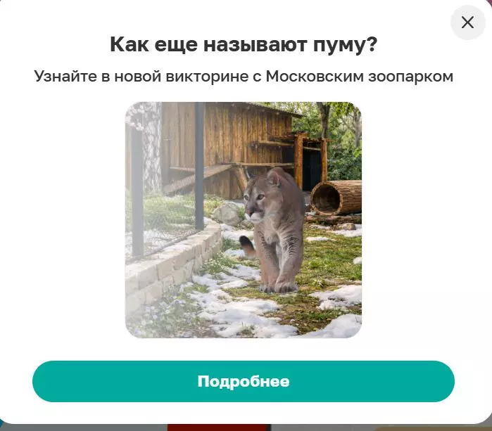 Где, что и когда купить в Москве