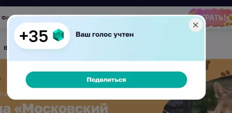 Где, что и когда купить в Москве