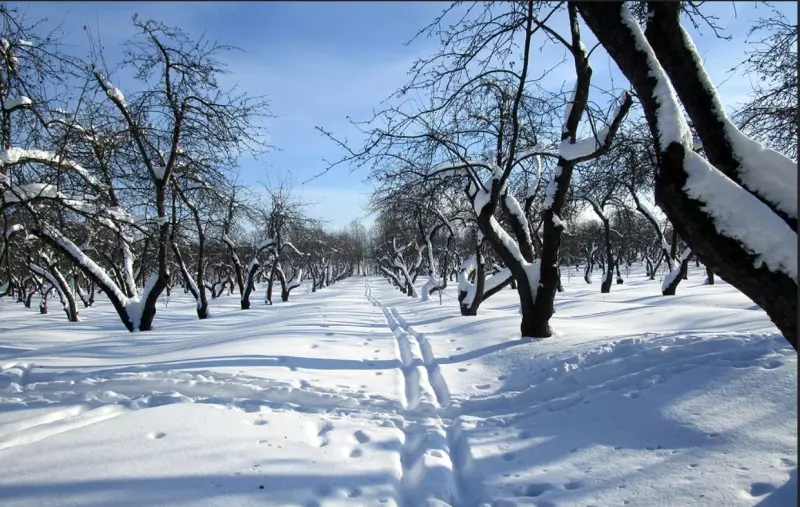 Фотонастроение