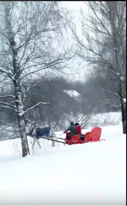 Фотонастроение