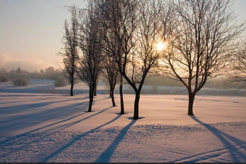 Фотонастроение