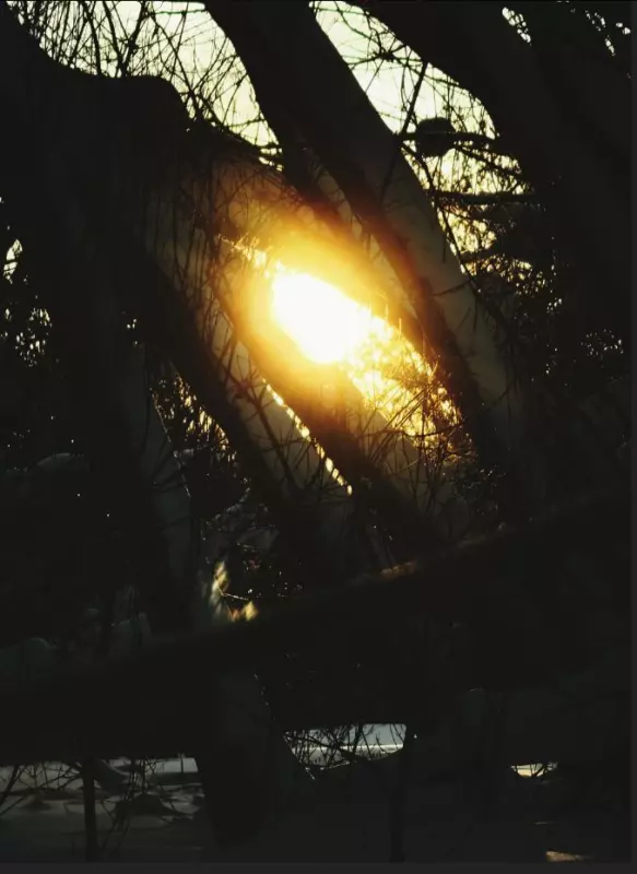 Фотонастроение