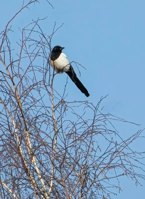 Фотонастроение