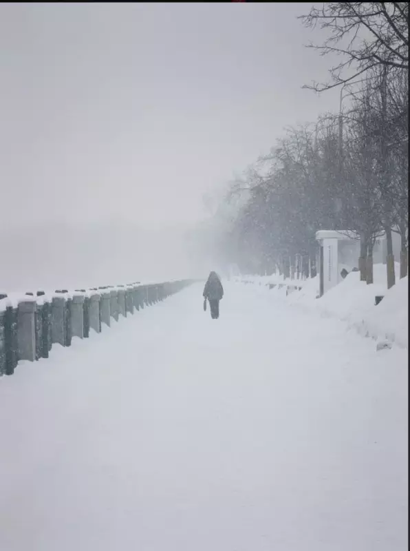 Фотонастроение