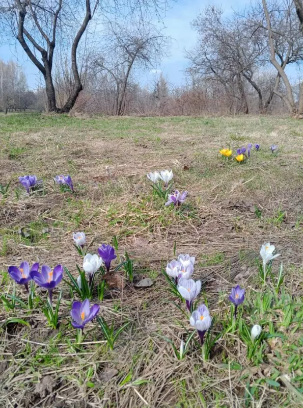 Фотонастроение