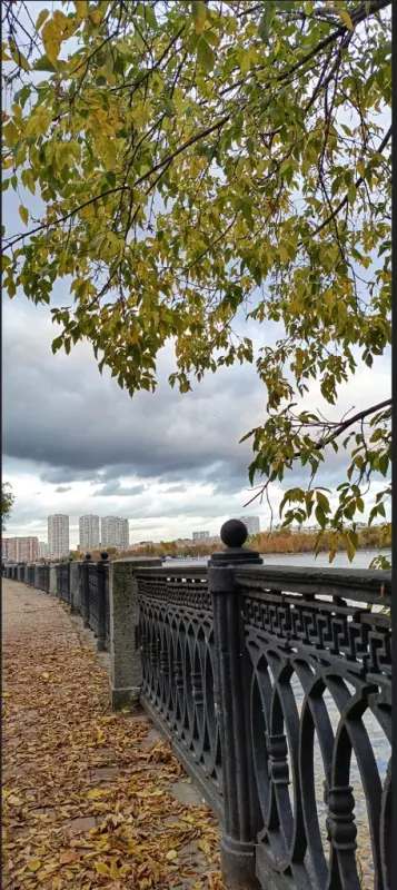 Фотонастроение