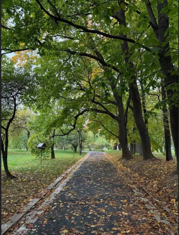 Фотонастроение