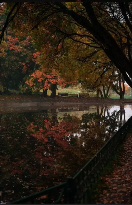 Фотонастроение