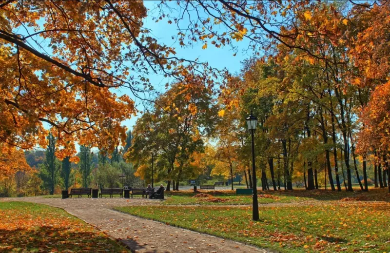 Фотонастроение