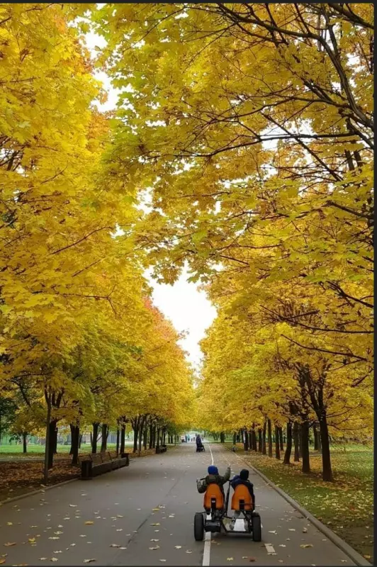 Фотонастроение