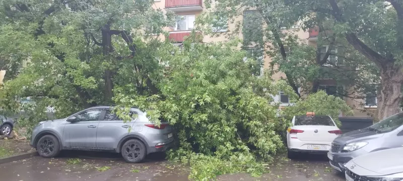 И о погоде