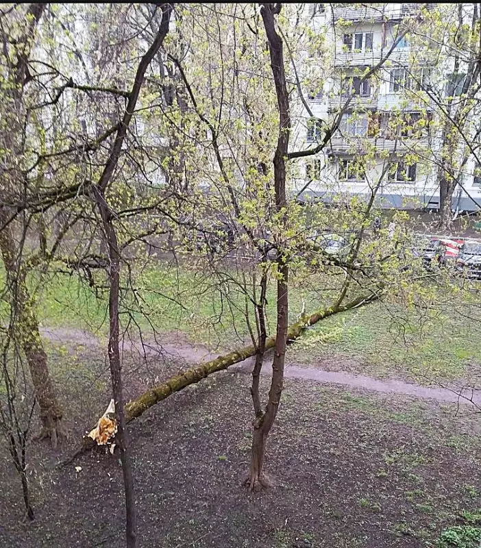 И о погоде