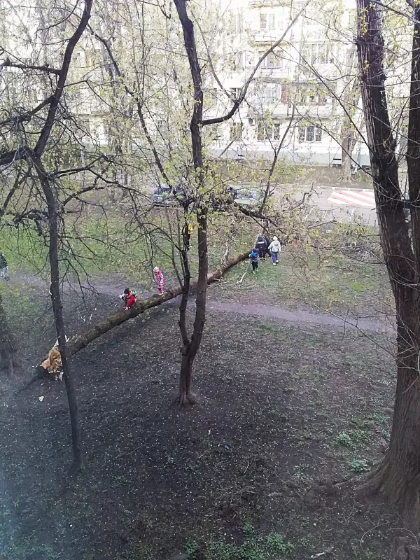 И о погоде
