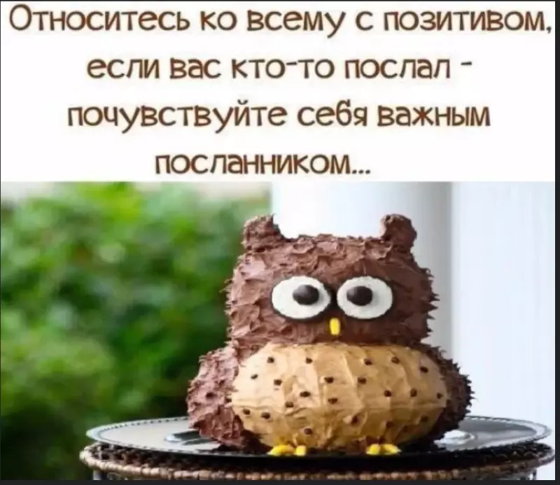 Позитивчик (фото, видео, рассказы для хорошего настроения)