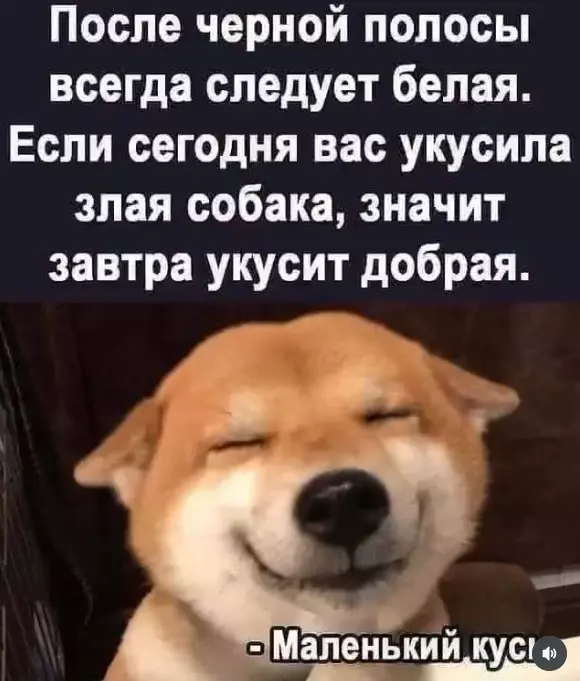 Позитивчик (фото, видео, рассказы для хорошего настроения)