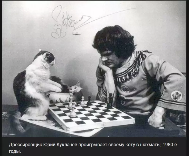 Позитивчик (фото, видео, рассказы для хорошего настроения)