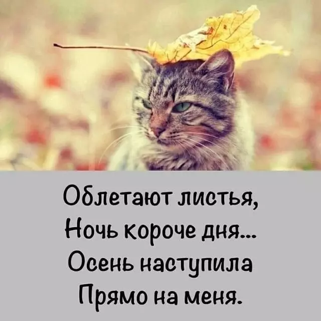 Позитивчик (фото, видео, рассказы для хорошего настроения)