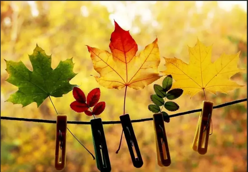 Позитивчик (фото, видео, рассказы для хорошего настроения)